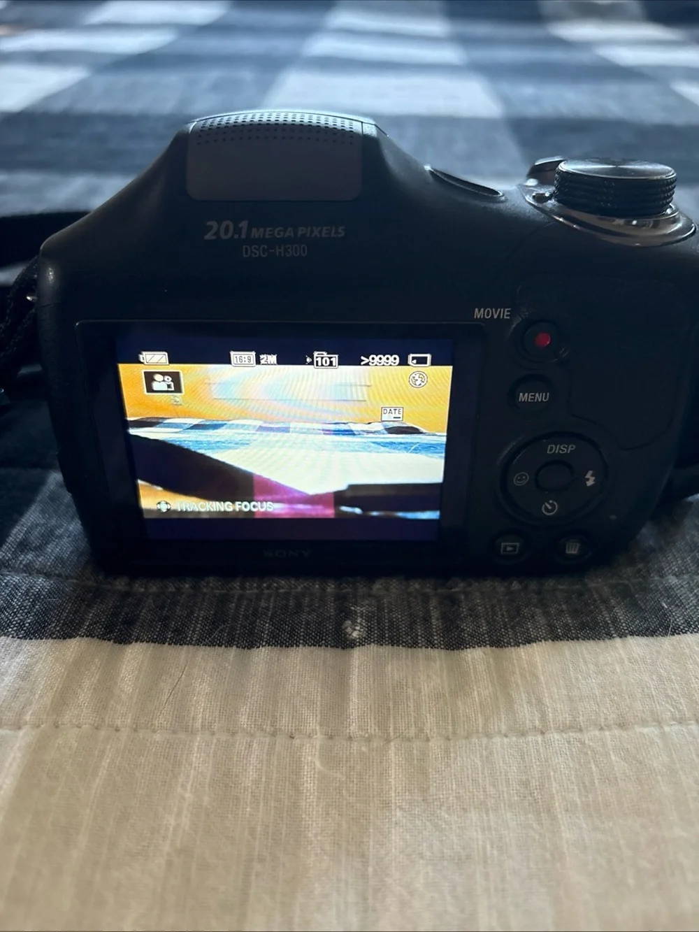 Sony Black Bridge Camera with LCD Display